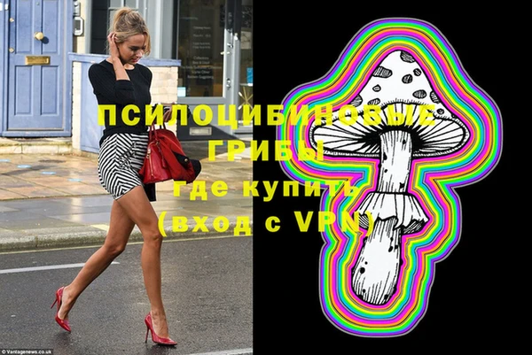 индика Анива
