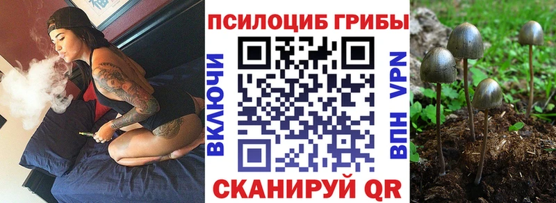 купить наркотики цена Кущёвская Галлюциногенные грибы MAGIC MUSHROOMS