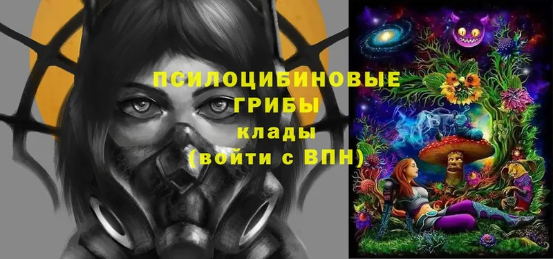 Галлюциногенные грибы GOLDEN TEACHER  даркнет телеграм  Кущёвская 